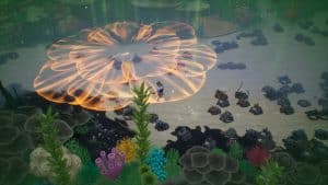 Coral Island 3